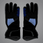Alex Marquez Gloves
