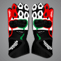 Johann Zarco Motorcycle Racing Gloves MotoGP 2024 upper view