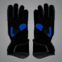 Alex Marquez MotoGP 2025 Gloves palm view