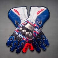 Nicky Hayden Gloves